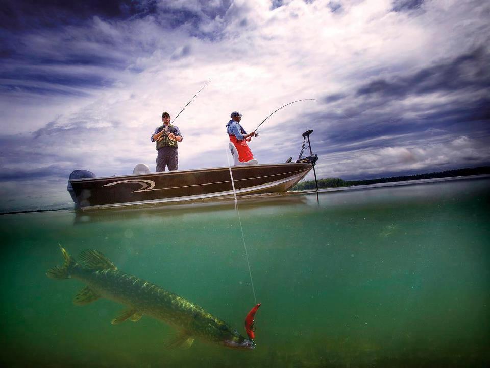 Ma passion !!! - 2937762979167336469022133294391n.jpg